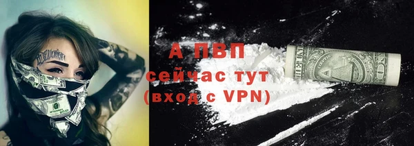 дживик Мегион