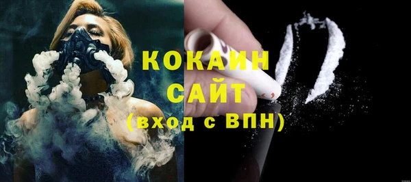 дживик Мегион