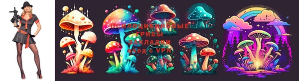 каннабис Медвежьегорск