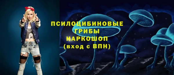 стафф Медногорск