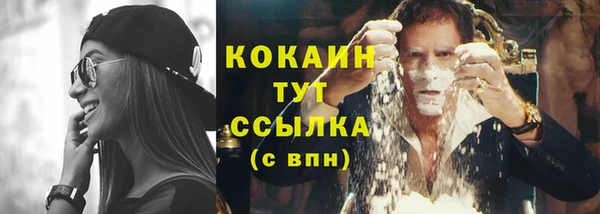 дживик Мегион