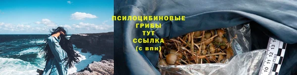 дживик Мегион