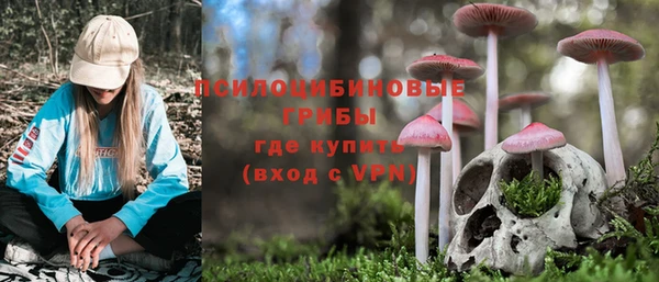 дживик Мегион