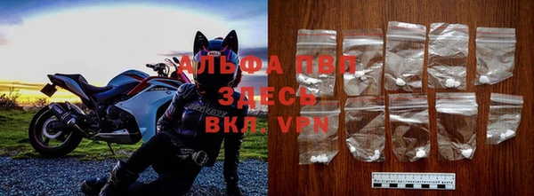 стафф Медногорск