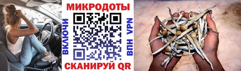Галлюциногенные грибы Psilocybine cubensis Купить Дудинка